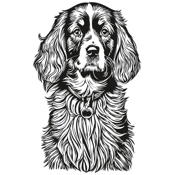 Spaniel Boykin Dog Line Illustration Black White Ink Sketch Face — Stock Vector