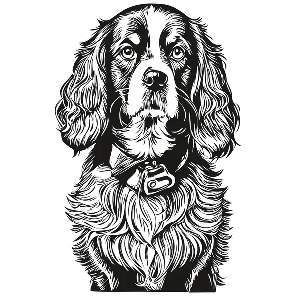 西班牙波希金狗标识矢量黑白 老式可爱的狗头雕刻 — 图库矢量图片