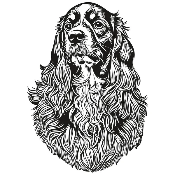 Spaniel Boykin Dog Outline Pencil Drawing Artwork Black Character White — Stock Vector