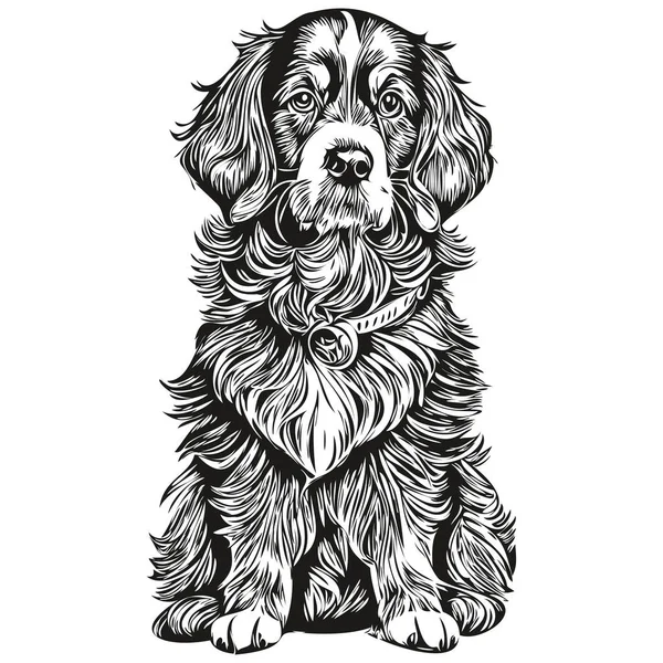 Spaniel Boykin Köpek Çizimi Kalem Çizimi Siyah Karakter Beyaz Arka — Stok Vektör