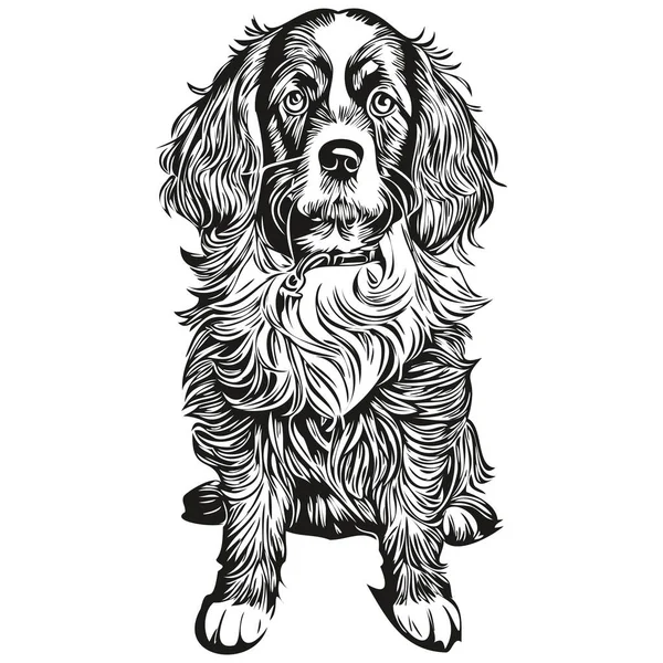 Собака Спанієль Бойкін Контур Олівцем Малюнок Ілюстрації Чорний Персонаж Білому — стоковий вектор