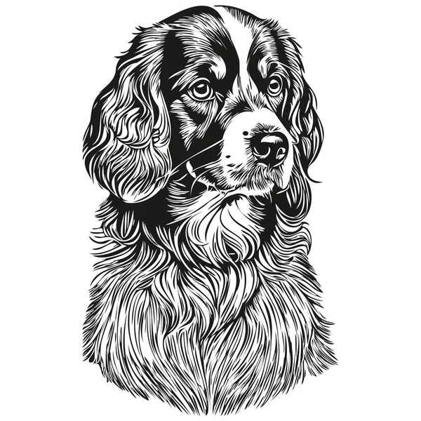 Spaniel Boykin Hund Penna Hand Rita Vektor Kontur Illustration Husdjur — Stock vektor