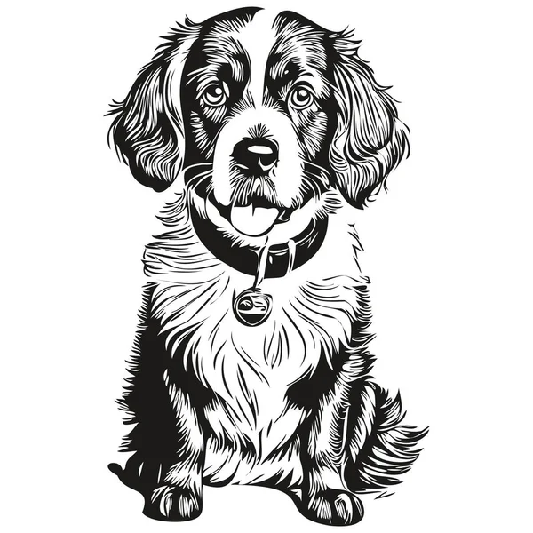 スパニエルBoykin犬鉛筆手描きベクトル アウトラインイラストペットの顔のロゴ黒と白のスケッチの描画 — ストックベクタ