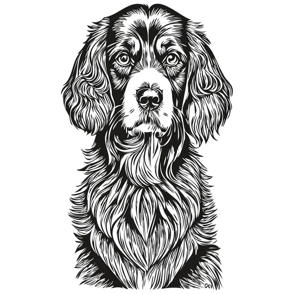Spaniel Boykin Dog Pet Silhouette Animal Line Illustration Hand Drawn — Stock Vector