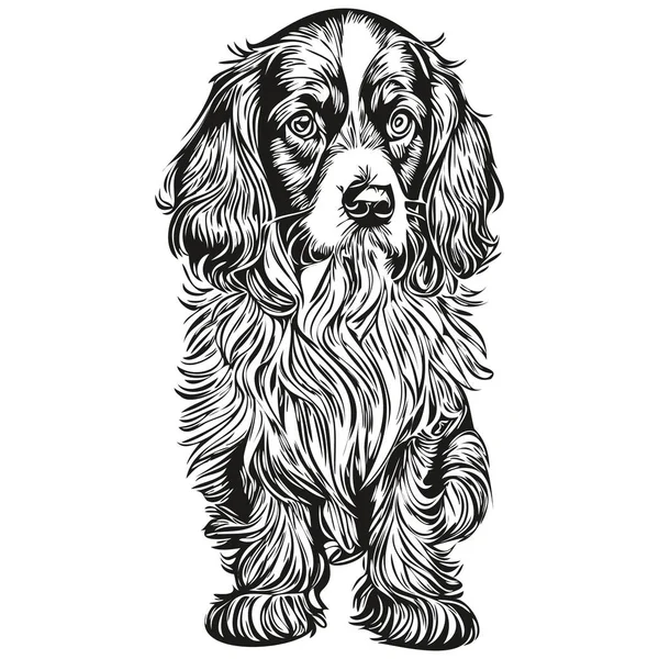 Spaniel Boykin Cão Pet Silhueta Animal Linha Ilustração Mão Desenhada —  Vetores de Stock