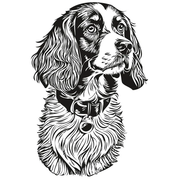 Spaniel Boykin Dog Pet Sketch Illustration Schwarz Weiß Gravur Vektorskizze — Stockvektor