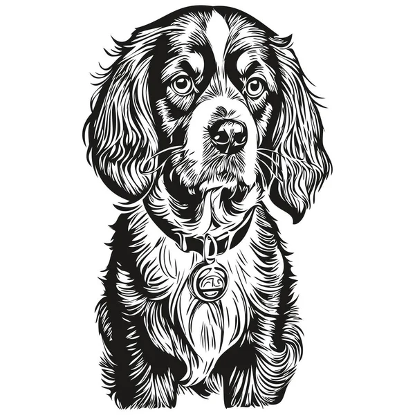 Spaniel Boykin Dog Portrait Vector Animal Hand Drawing Tattoo Tshirt — Stock Vector