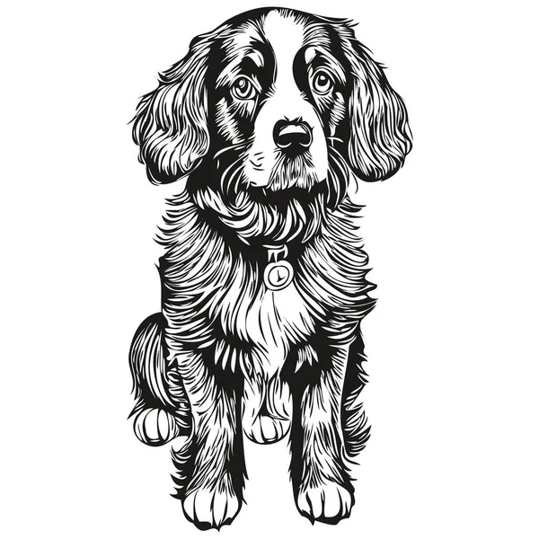 Портрет Собаки Спаниеля Бойкина Векторном Животном Ручном Рисунке Иллюстрации Татуировки — стоковый вектор