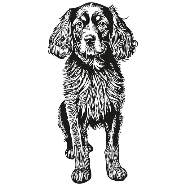 ベクトルで現実的な鉛筆画 犬の顔の線画黒と白のスケッチ画 — ストックベクタ