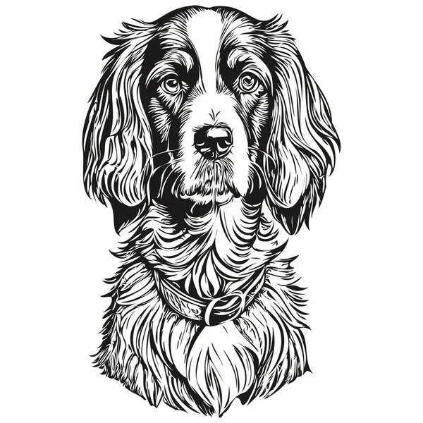 スパニエルBoykin犬現実的なペットのイラスト 手描きの顔黒と白のベクトル現実的な品種のペット — ストックベクタ