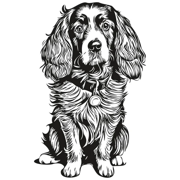 スパニエルBoykin犬現実的なペットのイラスト 手描きの顔黒と白のベクトルスケッチの描画 — ストックベクタ