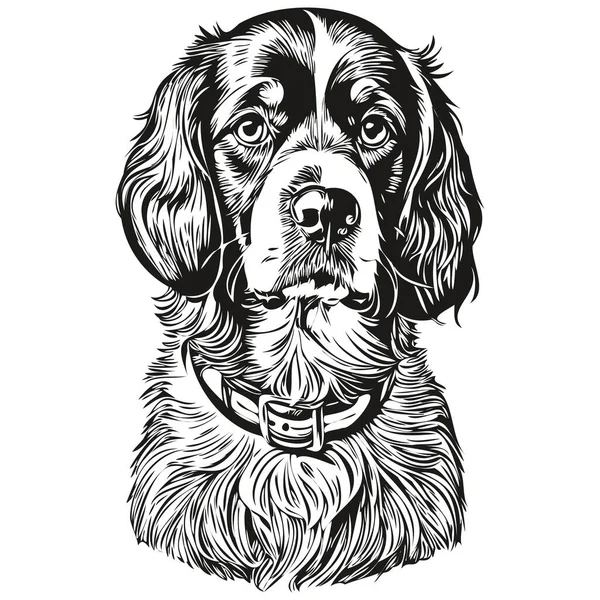 Spaniel Boykin Perro Realista Mascota Ilustración Dibujo Mano Cara Negro — Vector de stock