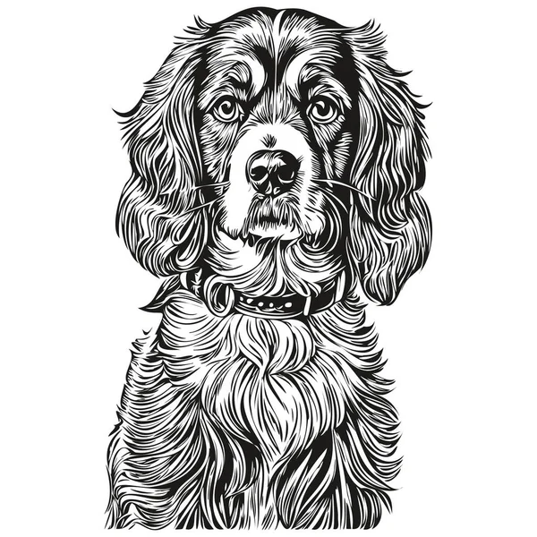 Spaniel Boykin犬Tシャツプリント黒と白 かわいい面白いアウトライン描画ベクトル現実的な品種ペット — ストックベクタ