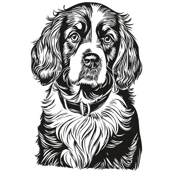 Футболка Изображением Собаки Бойкина Черно Белая Симпатичные Смешные Очертания — стоковый вектор