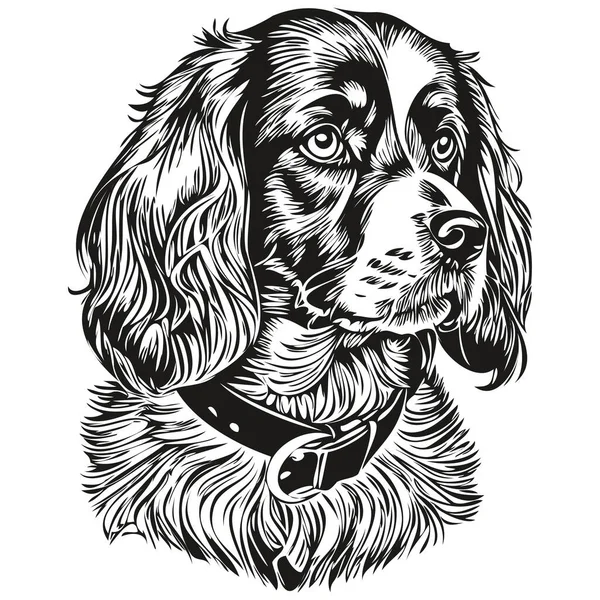 Spaniel Boykin Köpek Tişörtü Siyah Beyaz Sevimli Komik Çizim Çizimi — Stok Vektör