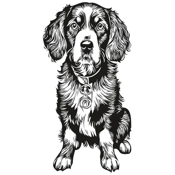 Векторная Графика Собаки Спаниеля Бойкина Рисунок Рисованной Карандашом Линии Животного — стоковый вектор
