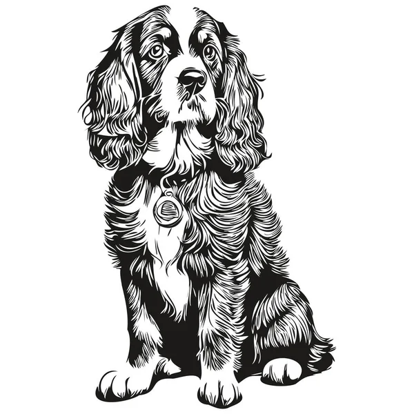 Spaniel Engelska Cocker Hund Svart Ritning Vektor Isolerad Ansikte Målning — Stock vektor