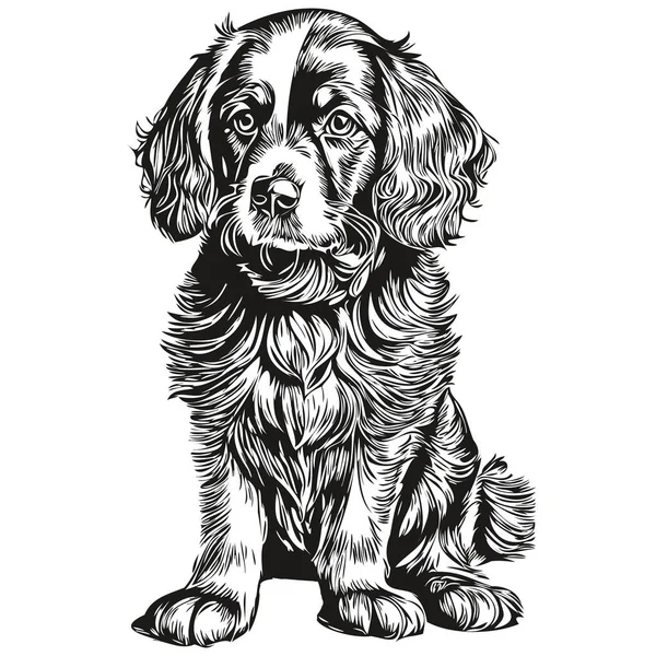 Spaniel Russian Cocker Dog Breed Line Drawing Clip Art Animal — стоковый вектор