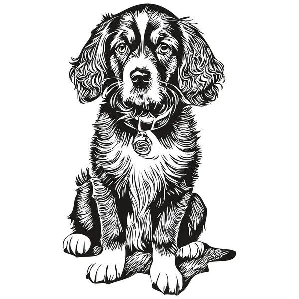 Spaniel English Cocker Dog Face Vector Portrait Funny Outline Pet — Stock Vector