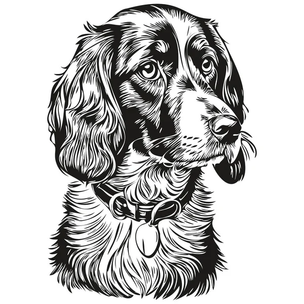 Spaniel Russian Cocker Dog Head Line Drawing Vector Hand Drawn — стоковый вектор