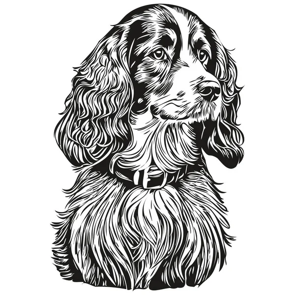 Spaniel English Cocker Dog Graved Vector Portrait Face Cartoon Vintage — Stockový vektor