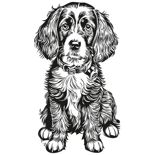 Spaniel Russian Cocker Dog Line Illustration Black White Ink Sketch — стоковый вектор