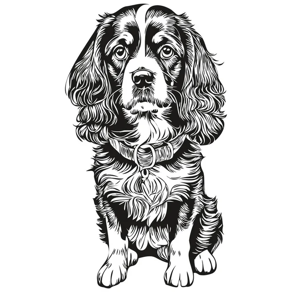 Spaniel Russian Cocker Dog Logo Vector Black White Vintage Cute — стоковый вектор