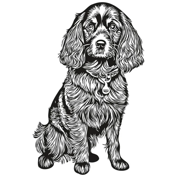 Spaniel Russian Cocker Dog Outline Pencil Drawing Artwork Black Character — стоковый вектор