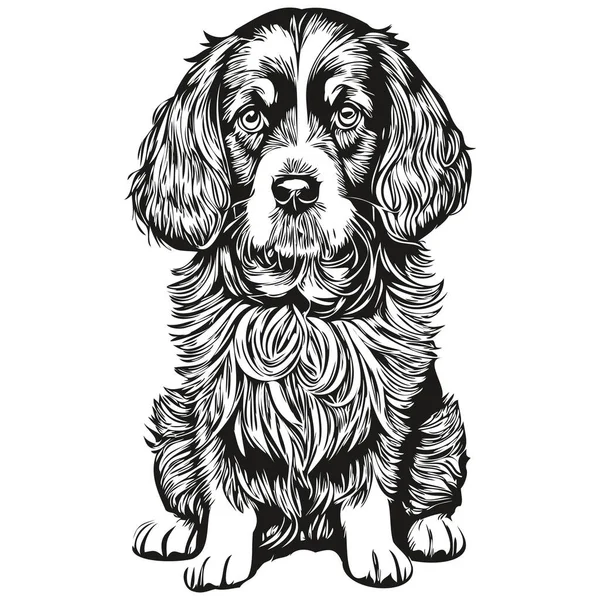 Spaniel Engelska Cocker Hund Kontur Penna Teckning Konstverk Svart Tecken — Stock vektor