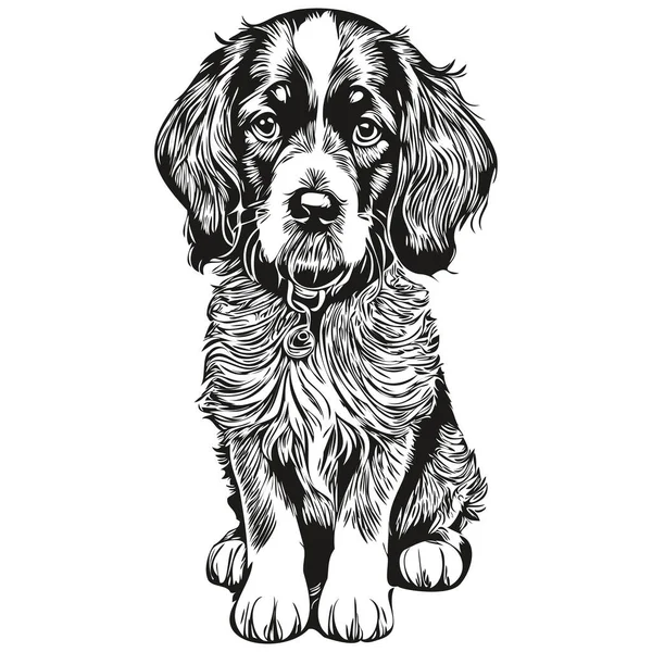 スペイン語英語コッカー犬鉛筆手描きベクトル アウトラインイラストペットの顔のロゴ黒と白 — ストックベクタ