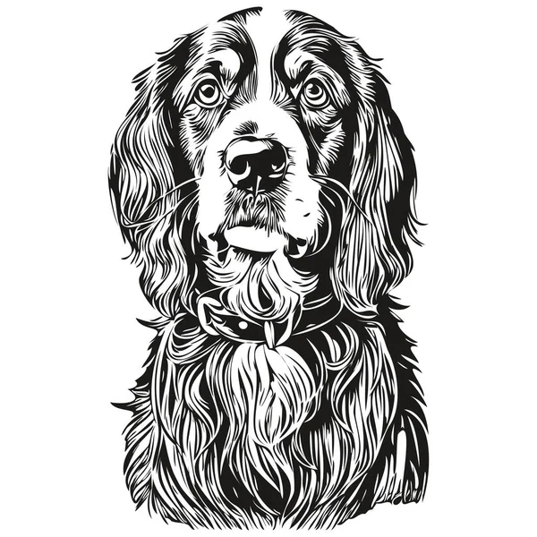 スペイン語英語コッカー犬のペットのシルエット 動物の行のイラストの手を黒と白のベクトルを描いた — ストックベクタ