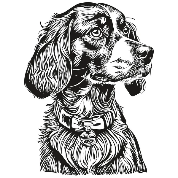 Spaniel Russian Cocker Dog Pet Sketch Illustration Black White Engraving — стоковый вектор