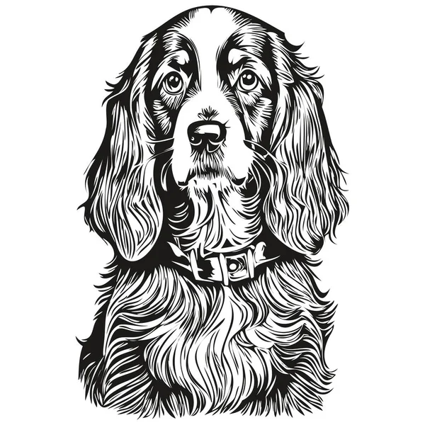 Spaniel English Cocker Dog Pet Sketch Illustration Schwarz Weißer Gravurvektor — Stockvektor