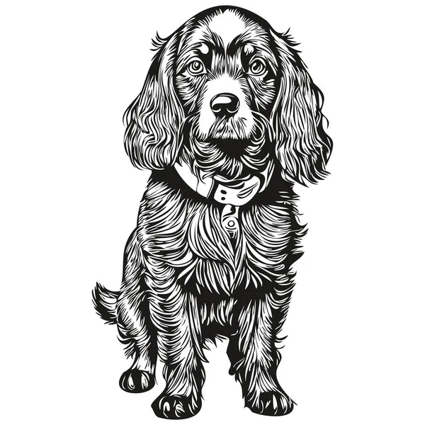 スペイン語英語コッカー犬の現実的な鉛筆画ベクトル 犬の顔のラインアートイラスト黒と白 — ストックベクタ