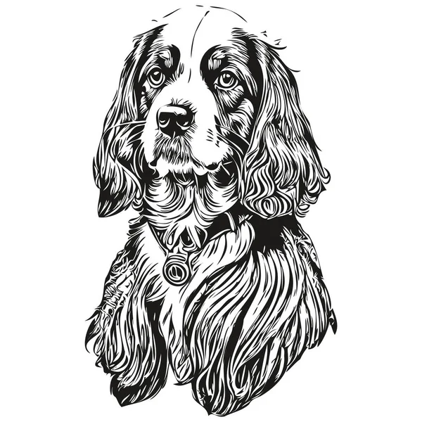 西班牙英语可卡犬T恤印着黑白照片 可爱有趣的轮廓画图矢量 — 图库矢量图片