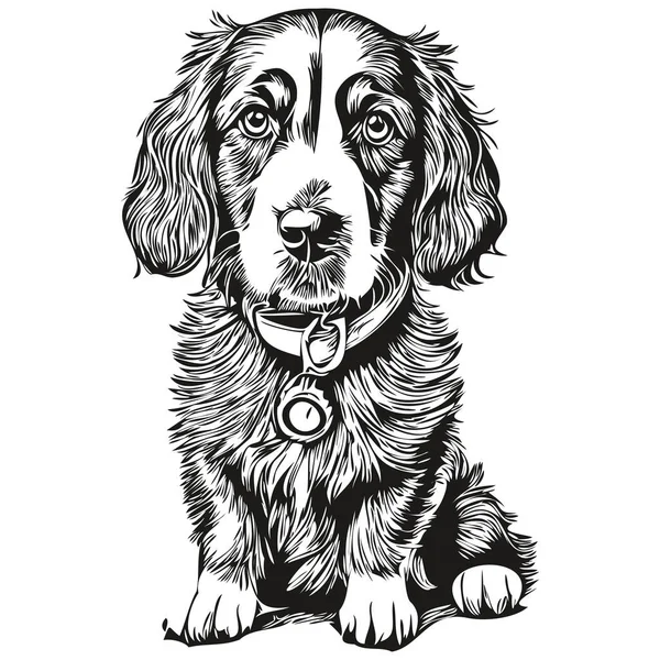 Spaniel Russian Cocker Dog Realistic Pet Illustration Hand Drawing Face — стоковый вектор