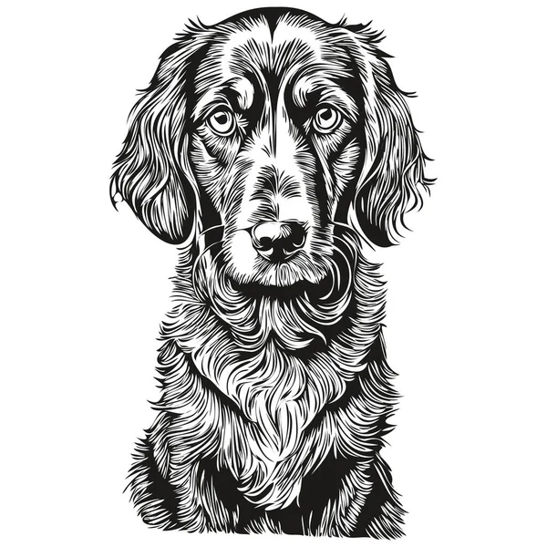 Spaniel Engels Cocker Hond Silhouet Huisdier Karakter Clip Art Vector — Stockvector