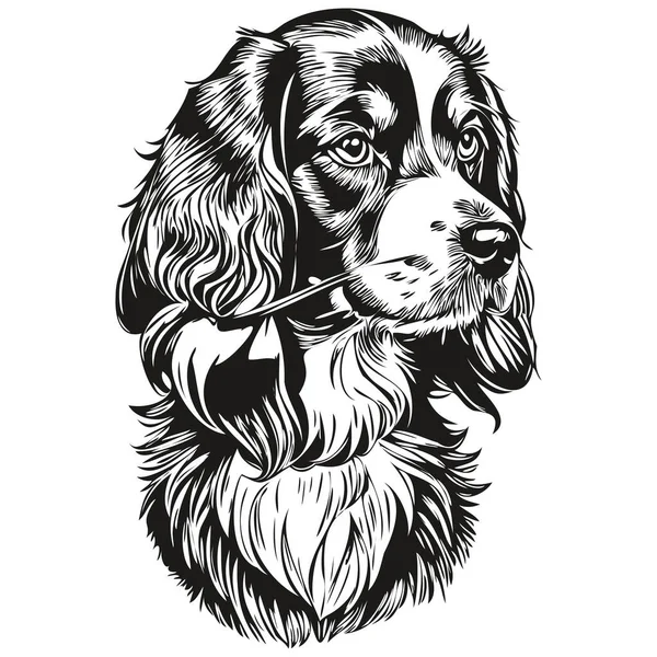スペイン語英語コッカー犬現実的なペットのイラスト 手描きの顔黒と白のベクトル現実的な品種のペット — ストックベクタ