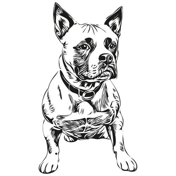 スタッフォードシャーブルテリア犬黒描画ベクトル 孤立した顔の絵の線のイラスト — ストックベクタ