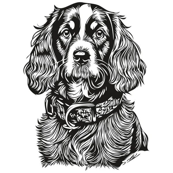 Spaniel Russian Cocker Dog Vector Graphics Hand Drawn Pencil Animal — стоковый вектор