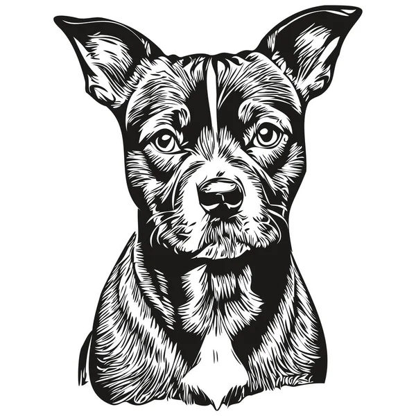 スタッフォードシャーブルテリア犬の顔ベクトルの肖像画 面白いアウトラインペットイラスト白の背景 — ストックベクタ