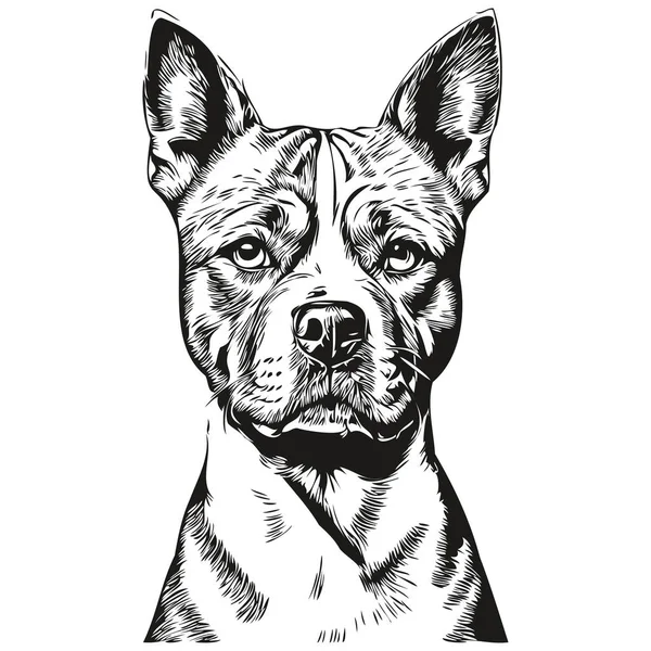 Staffordshire Bull Terrier Dog Hand Drawn Logo Drawing Black White — Stock Vector