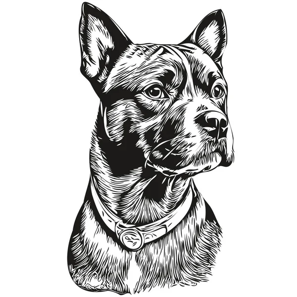 Staffordshire Bull Terrier Cane Isolato Disegno Sfondo Bianco Testa Animale — Vettoriale Stock