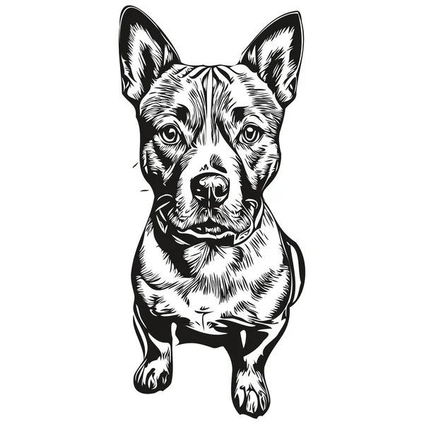 Staffordshire Bull Terrier Perro Contorno Lápiz Dibujo Ilustraciones Negro Carácter — Archivo Imágenes Vectoriales