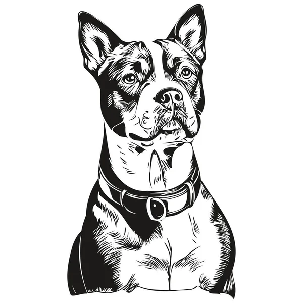 Staffordshire Bull Terrier Hund Realistisk Penna Ritning Vektor Linje Konst — Stock vektor