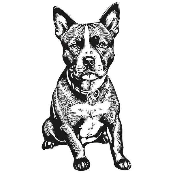 Staffordshire Bull Terrier Hund Porträtt Vektor Djur Hand Ritning För — Stock vektor
