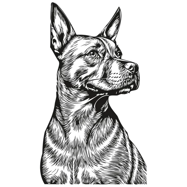 Staffordshire Bull Terrier Pies Realistyczny Zwierzak Ilustracja Ręka Rysunek Twarz — Wektor stockowy
