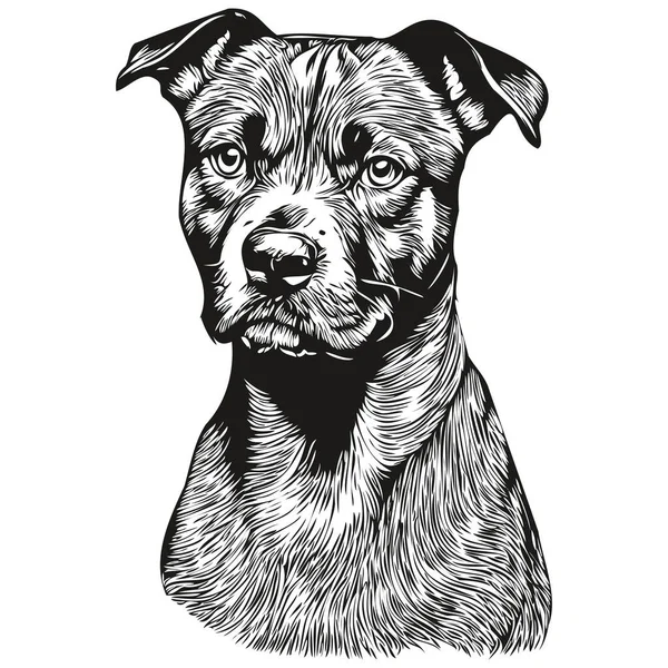 Staffordshire Bull Terrier Dog Silhouette Pet Character Clip Art Vector — Stock Vector