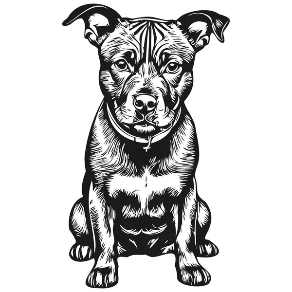 Staffordshire Bull Terrier Dog Shirt Print Black White Cute Outline - Stok Vektor