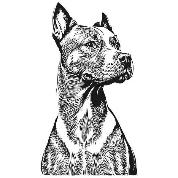Staffordshire Bull Terrier Σκυλί Διάνυσμα Πρόσωπο Σχέδιο Πορτρέτο Σκίτσο Vintage — Διανυσματικό Αρχείο